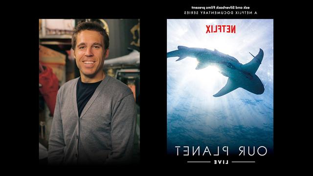 肖像拼贴画和电影海报，主题是海洋中的鲨鱼